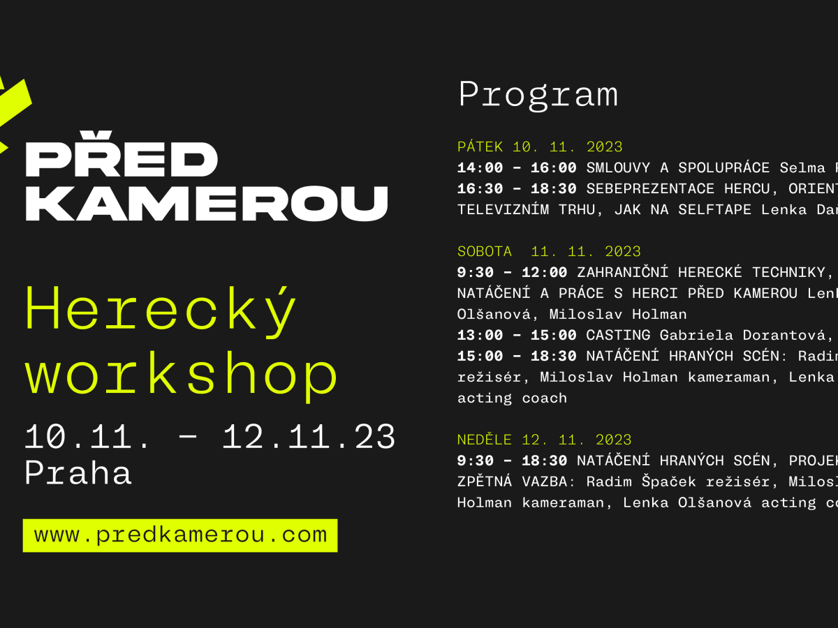 Herecký workshop 11/2023
